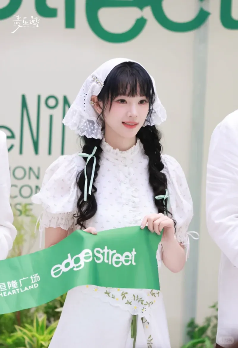 田园公主灿